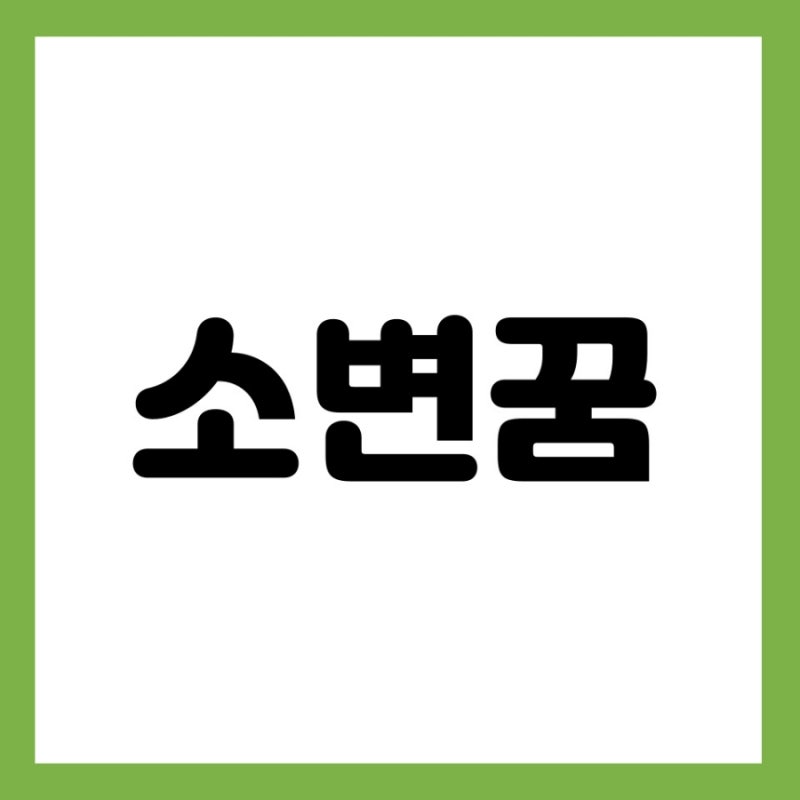 소변보는꿈 소변맞는꿈 소변묻는꿈 소변참는꿈 소변먹는꿈 소변누는꿈