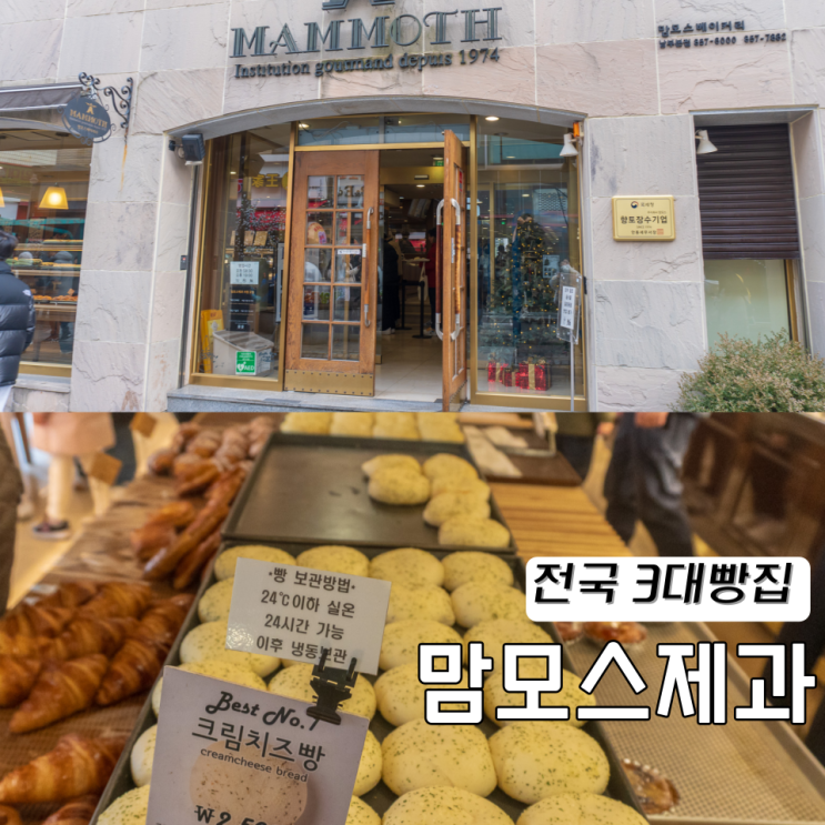  안동 맘모스제과 전국3대빵집 주차 크림치즈빵