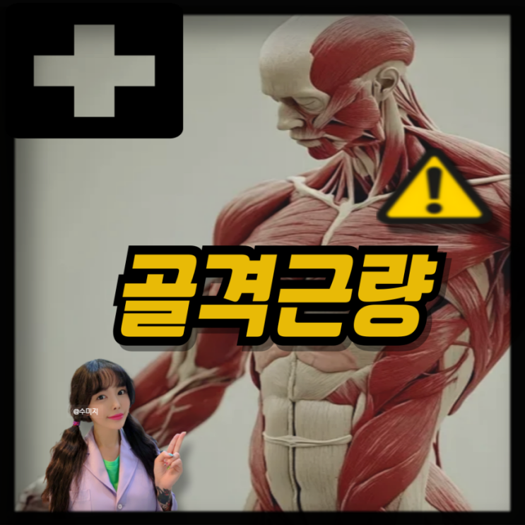  골격근량 계산 평균 여자 남자 골격근량