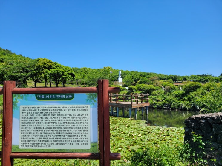  《제주도가볼만한곳》 제주오름 원물오름 & 감낭오름