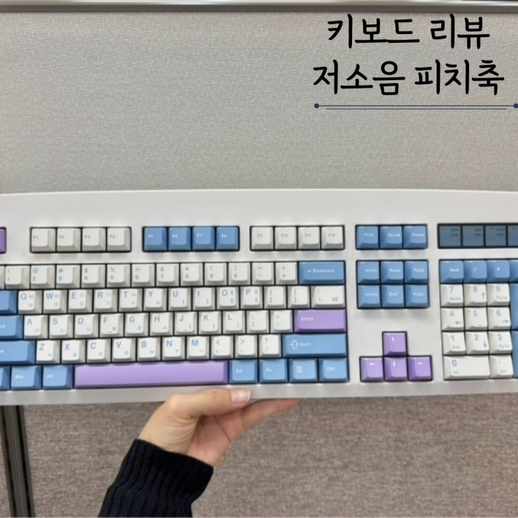 내돈내산 키보드 후기 조용한 사무실 키보드추천 무소음 저소음 피치축 큐센DT35 104 내돈내산 키보드 후기 조용한 사무실 키보드추천 무소음 저소음 피치축 큐센DT35 104