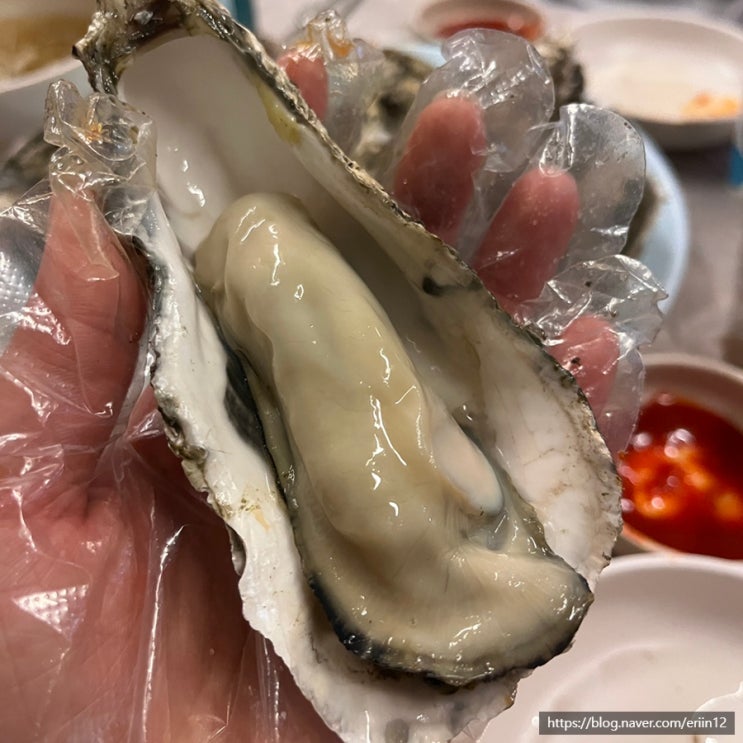  이모네포장마차 :: 서울 오류동 맛집 석화 크기 미쳤어요