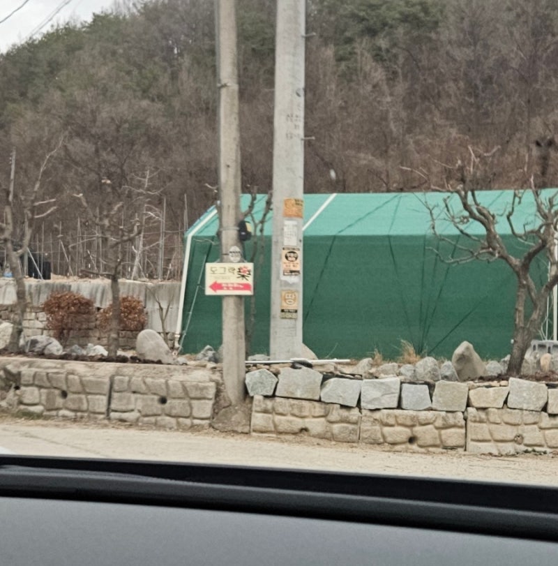 사진 13