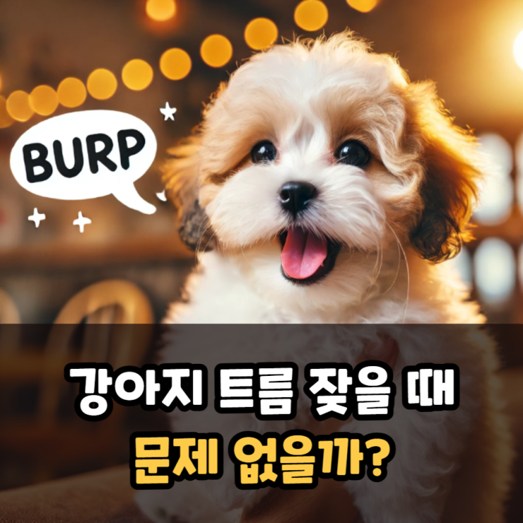  강아지 트름 잦을때 문제 없을까
