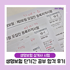 생명보험 시험 자격 공부 5일만에 합격 후기 생명보험시험난이도