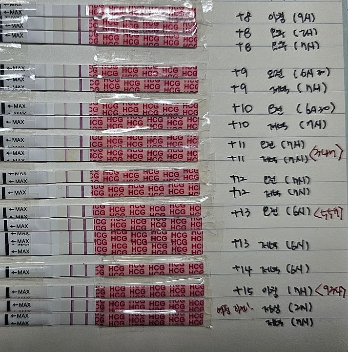  [난임일기]3일배양 동결배아 3개배아 이식 후 2차 피검 및 3차 피검까지. 더블링 약간 부족?