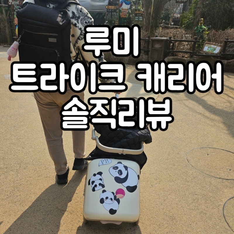 안아병아기 필수템! 트라이크 캐리어 비교 & 내 선택: 루미 트라이크 캐리어