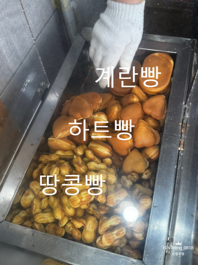 추억의육거리계란빵 사진 5