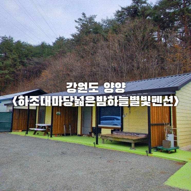  강원도 양양 애견동반 숙소 내돈내산 솔직후기 양양하조대마당넓은밤하늘별빛펜션