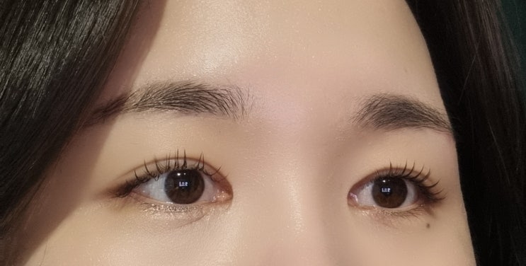  서울대입구 속눈썹펌 연장 잘하는 몰스래쉬 후기