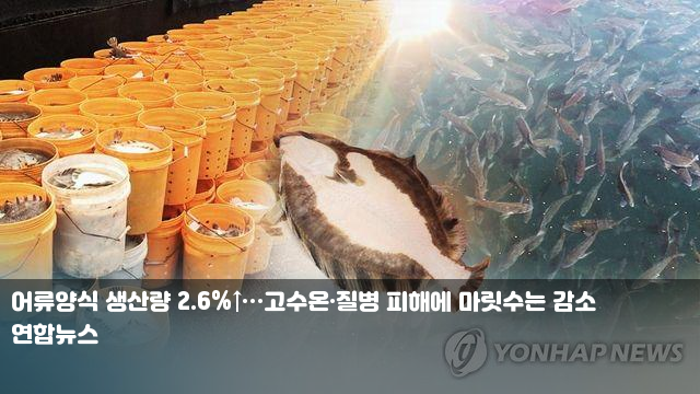 어류양식 생산량 2.6%↑…고수온·질병 피해에 마릿수는 감소... 