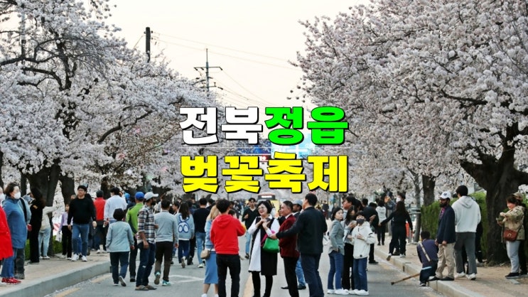 전북 정읍 4월 가볼만한곳 · 2025 정읍 벚꽃 축제 기본정보 개화시기 초대가수 전북 정읍 4월 가볼만한곳 · 2025 정읍 벚꽃 축제 기본정보 개화시기 초대가수