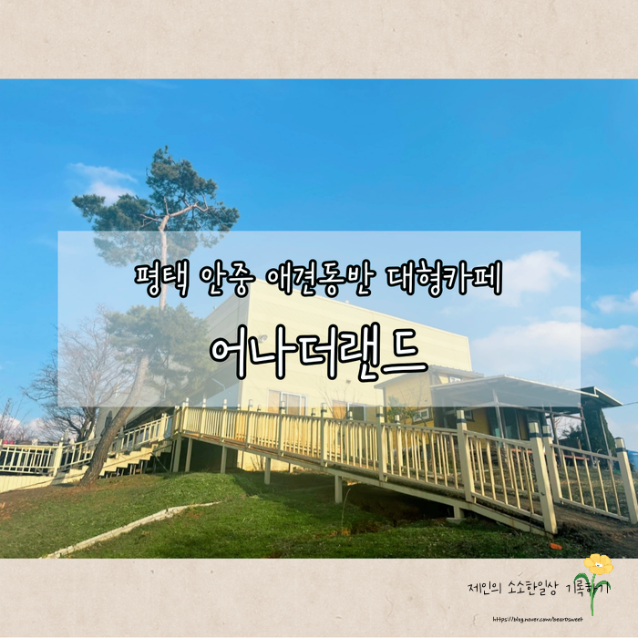 사진 9