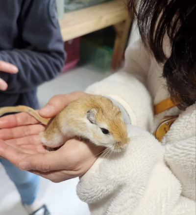  여주 동물체험 농장 '주주팜' 방문기(내돈내산)