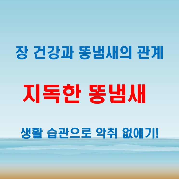  똥냄새지독 심할 때! 악취 줄이는 생활 습관과 음식 추천