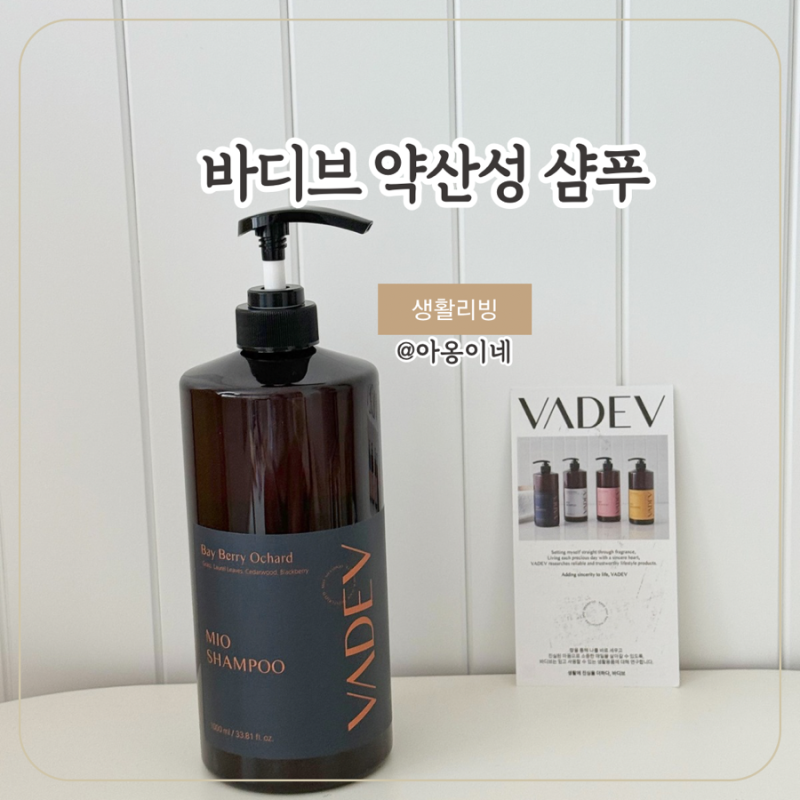 미용실 샴푸추천 바디브 약산성 비듬샴푸 향기좋은 지성샴푸