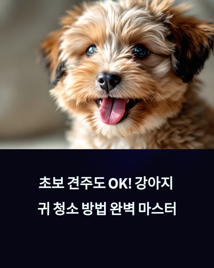  초보 견주도 OK! 강아지 귀 청소 방법 완벽 마스터