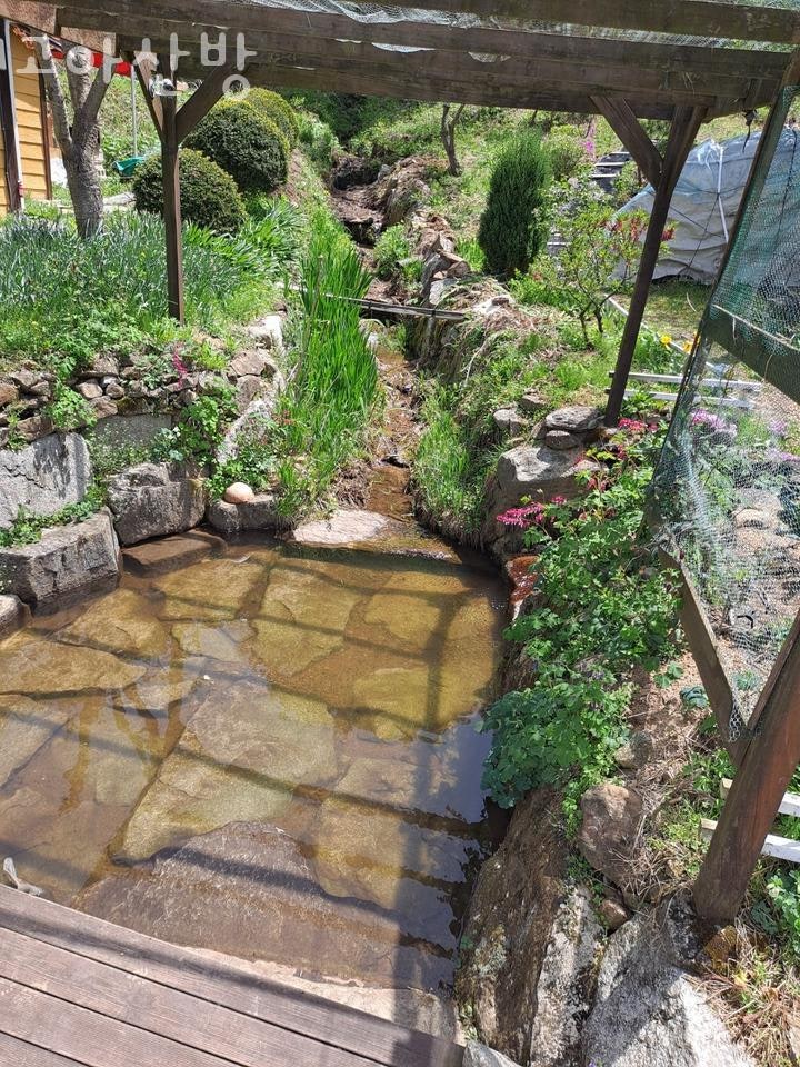 고아산방 사진 3