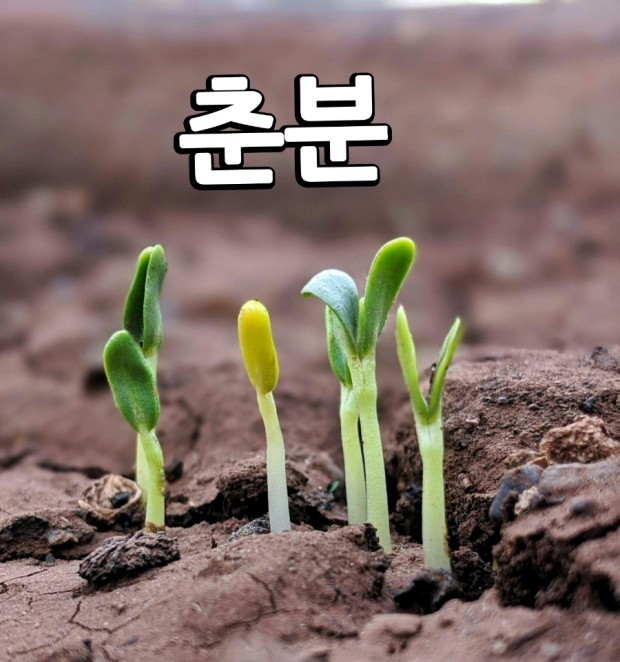 <b>김수현 가세연</b> 유족 <b>명예훼손</b> 고소 아닌 고발! 김새론... 
