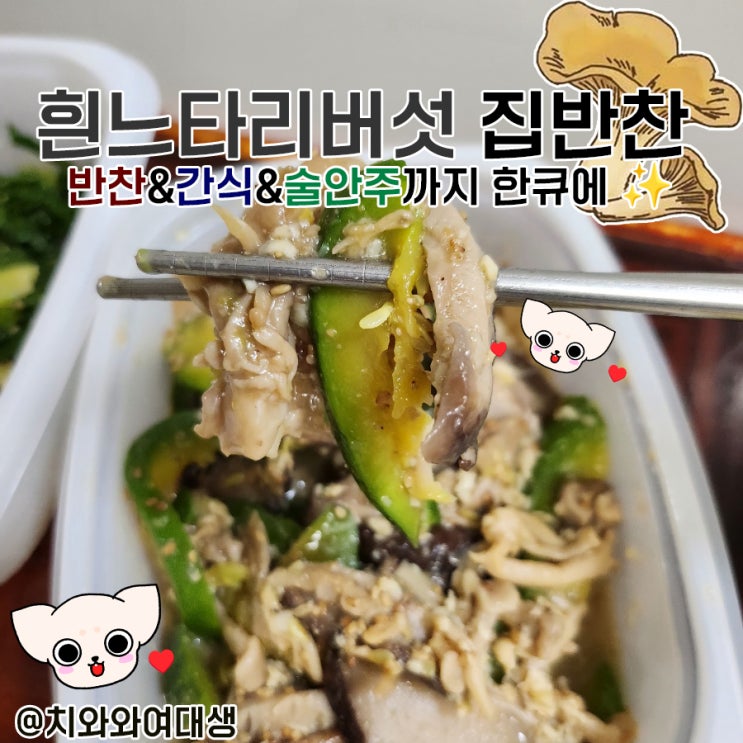  흰느타리버섯 집반찬 레시피 효능 키움의미학