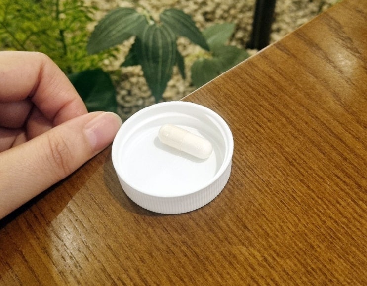  NMN 영양제 일본, 부작용에 대하여 알아보자