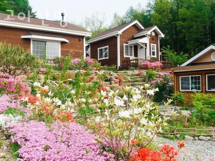 고아산방 사진 2