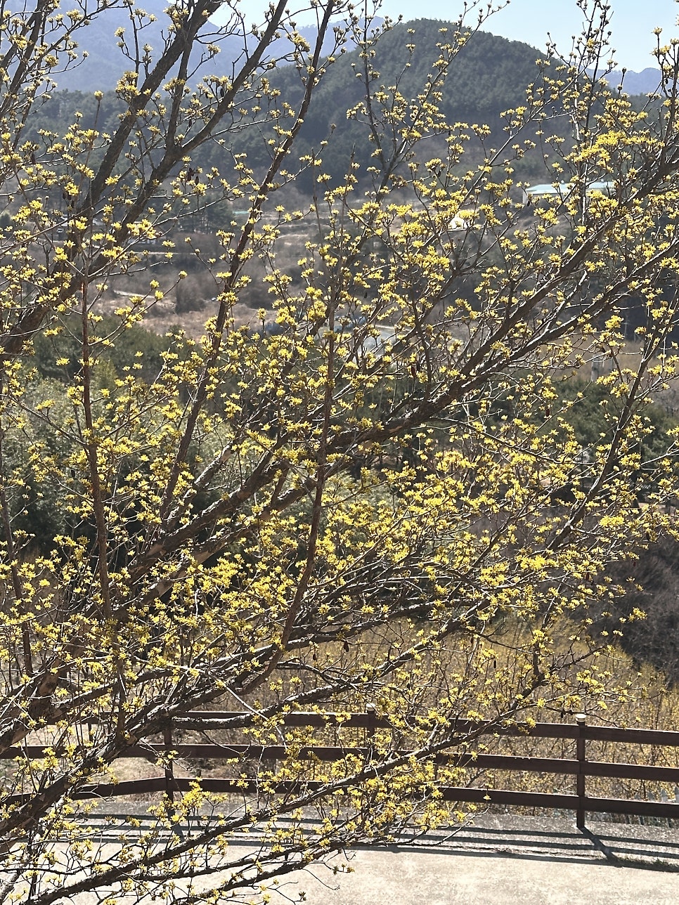 덕인관 지리산온천점 사진 1