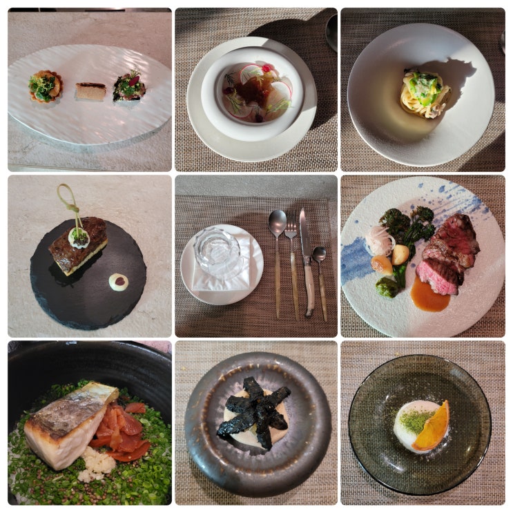  압구정로데오맛집 온화다이닝 도산, 광어 세비체의 풍미가 인상적인 디너 오마카세