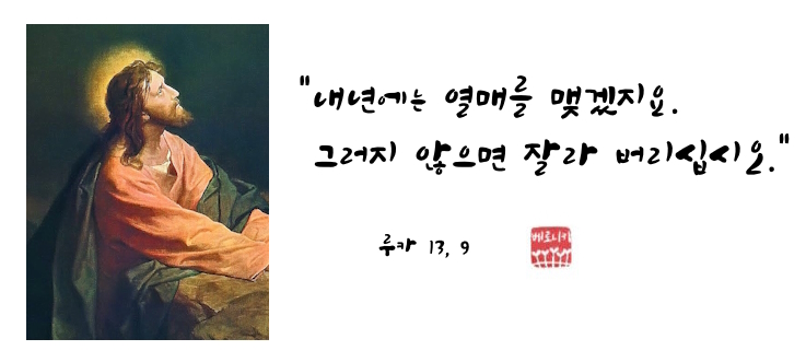 “내년에는 열매를 맺겠지요. 그러지 않으면 잘라 버리십시오.” “내년에는 열매를 맺겠지요. 그러지 않으면 잘라 버리십시오.”