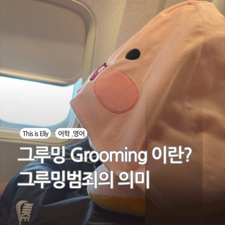 그루밍 Grooming 이란? 그루밍 범죄의 의미와 예방방법