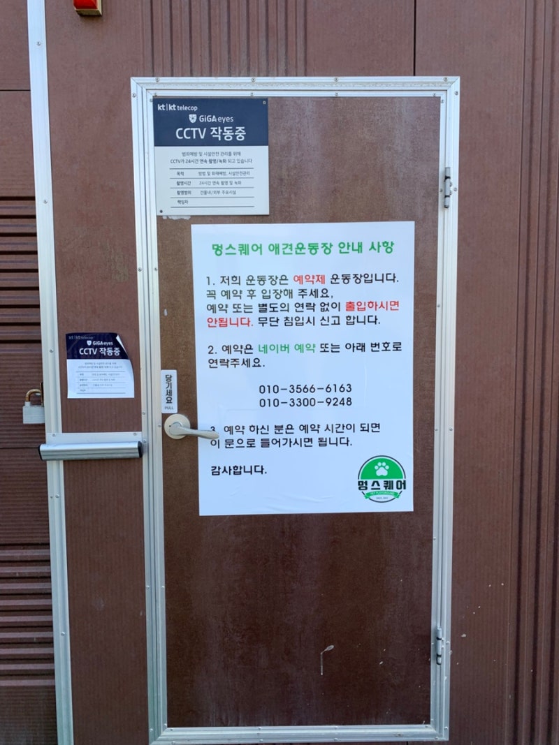 멍스퀘어 애견운동장 김포점