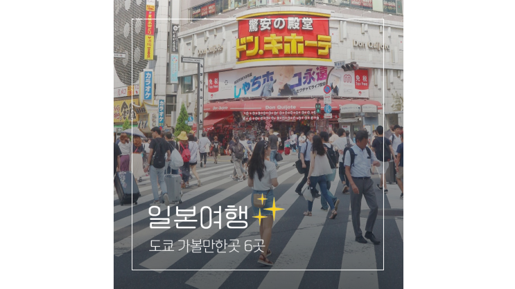  도쿄 가볼만한곳 ㅣ  디즈니랜드 디즈니씨부터 신주쿠 하라주쿠 스카이트리 전망대까지 자유여행 코스