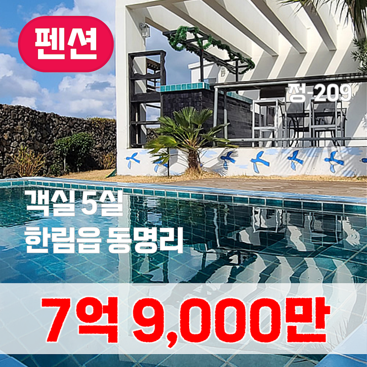  【매매】 한림읍 동명리 펜션(단독주택), 건축면적 163.16 / 연면적 242.59