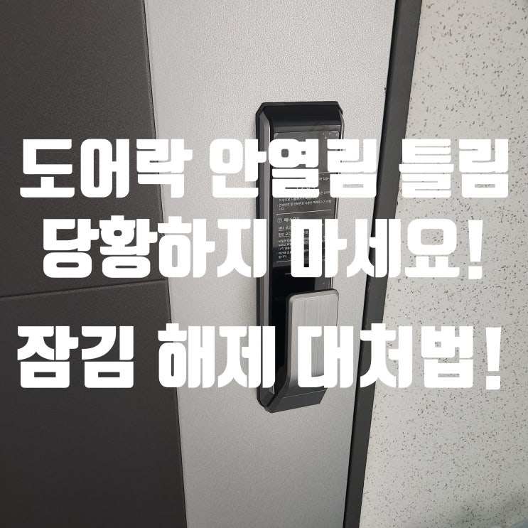  일산 도어락 안열림 대처법! 비밀번호 틀림 부터 잠김 해제까지