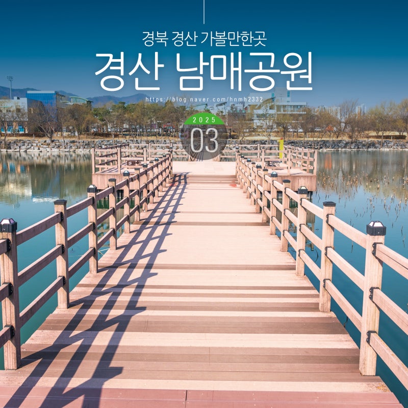 사진 5