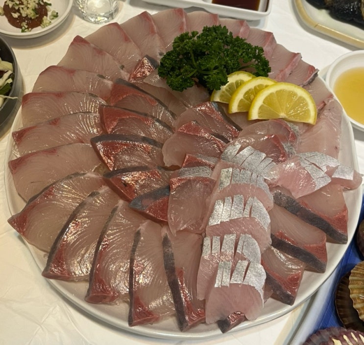  [대광어횟집] 사가정 애견 동반 식당 대방어 맛집 룸이 있는 횟집