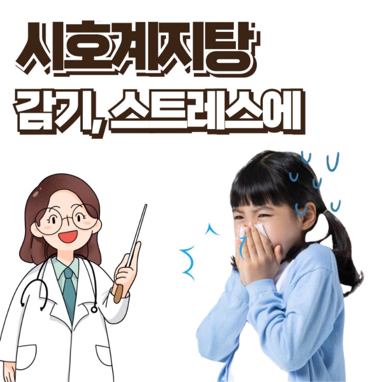  시호계지탕 감기에 걸리거나 스트레스 받을 때