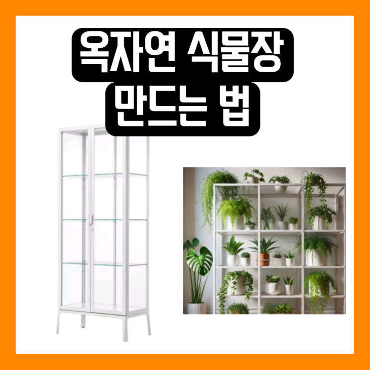 나혼자산다 <b>옥자연</b> 식물장 실내 온실장 수납장 좋다고? <b>나혼산</b>... 
