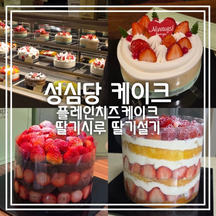 플레인치즈케이크 딸기시루막내 딸기설기 || 대전 성심당 케이크 3종 후기 가격 플레인치즈케이크 딸기시루막내 딸기설기 || 대전 성심당 케이크 3종 후기 가격