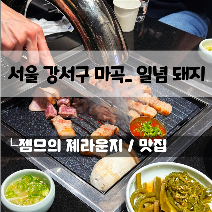  회식하기 좋은 마곡 고기집 일념돼지