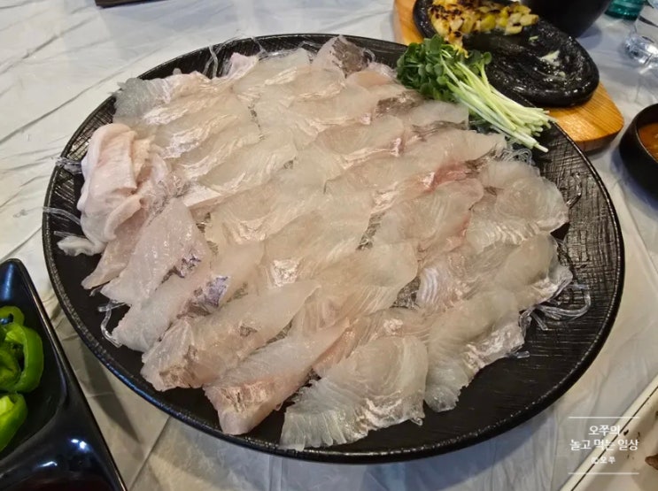  [수원 성균관대역 맛집] 회조아 / 광어 추천