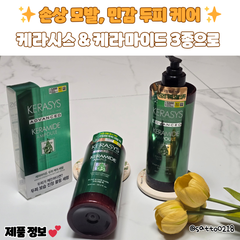 다이소 손상 모발, 민감 두피 케어의 해답! 케라시스 & 케라마이드 3종으로 고민 해결~~