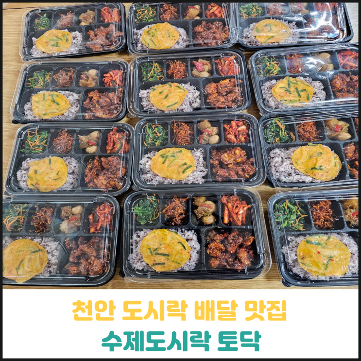 천안 도시락 배달 맛집 수제도시락 토닥 천안 도시락 배달 맛집 수제도시락 토닥