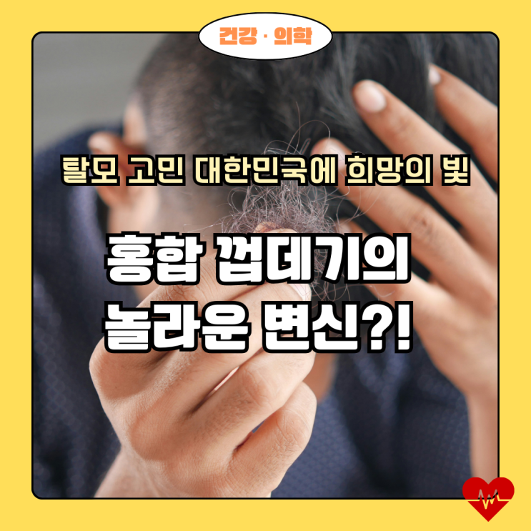  홍합 껍데기의 놀라운 변신?! 탈모 고민 대한민국에 희망의 빛