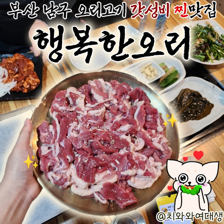  부산오리맛집 행복한오리 대연동재방문 10회 찐후기