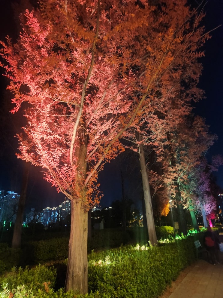오전<b>산불</b>/경남산청군 <b>산불</b>/<b>특별재난지역</b>선포/중앙선 <b>의성</b>... 