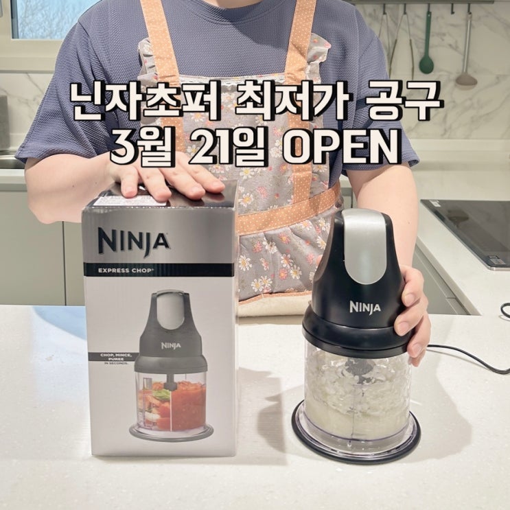  닌자초퍼 공구 핫딜 최저가 (3/21~) 이유식 준비물 만능다지기
