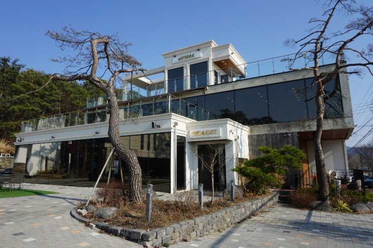  천안 목천 대형카페 넓고 예쁜 까치카페 분위기 맛집