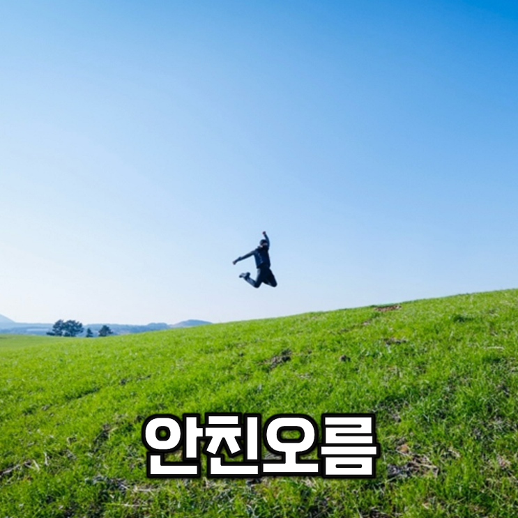  【여행】 제주도 구좌읍 송당리, 윈도우 배경화면 같은 풍경의 안친오름