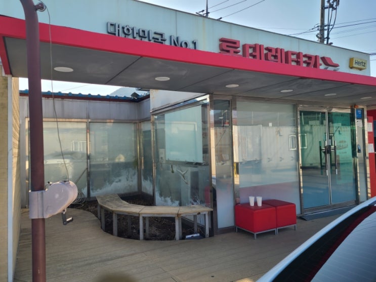  경주 롯데렌터카  경관 지장목제거("경주벌목대행")
